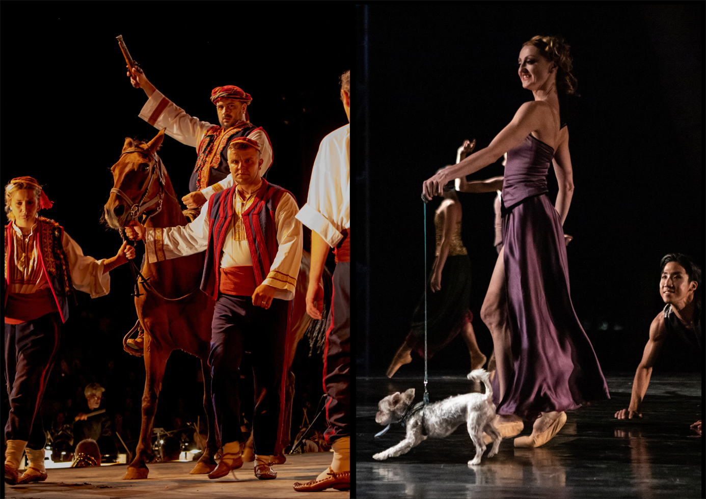 Free Bus to the Bene stage for "Ero the Joker" and "The Great Gatsby" performances